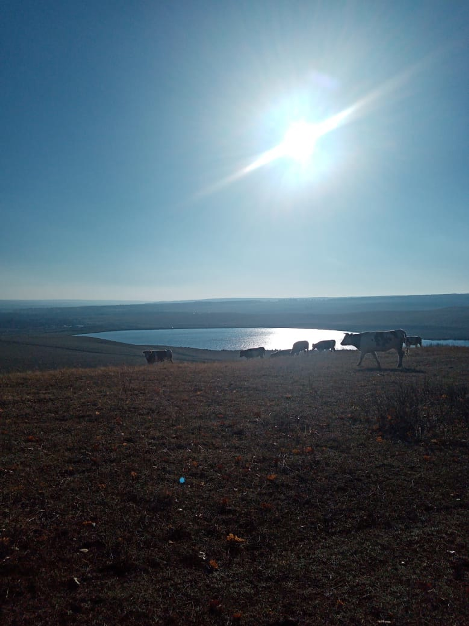 Тау артында кояш бар