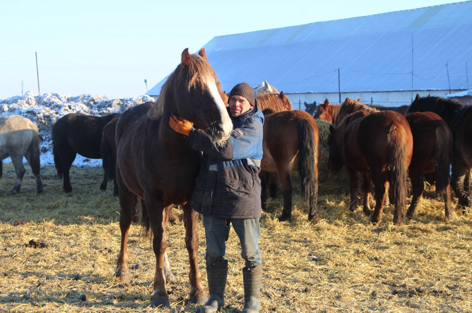 Артём Полищук - добрый учитель молодых лошадок