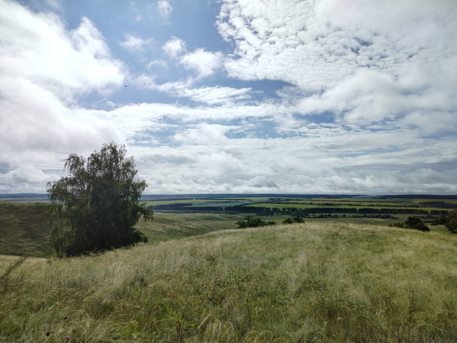 Серле сандык ачкычы