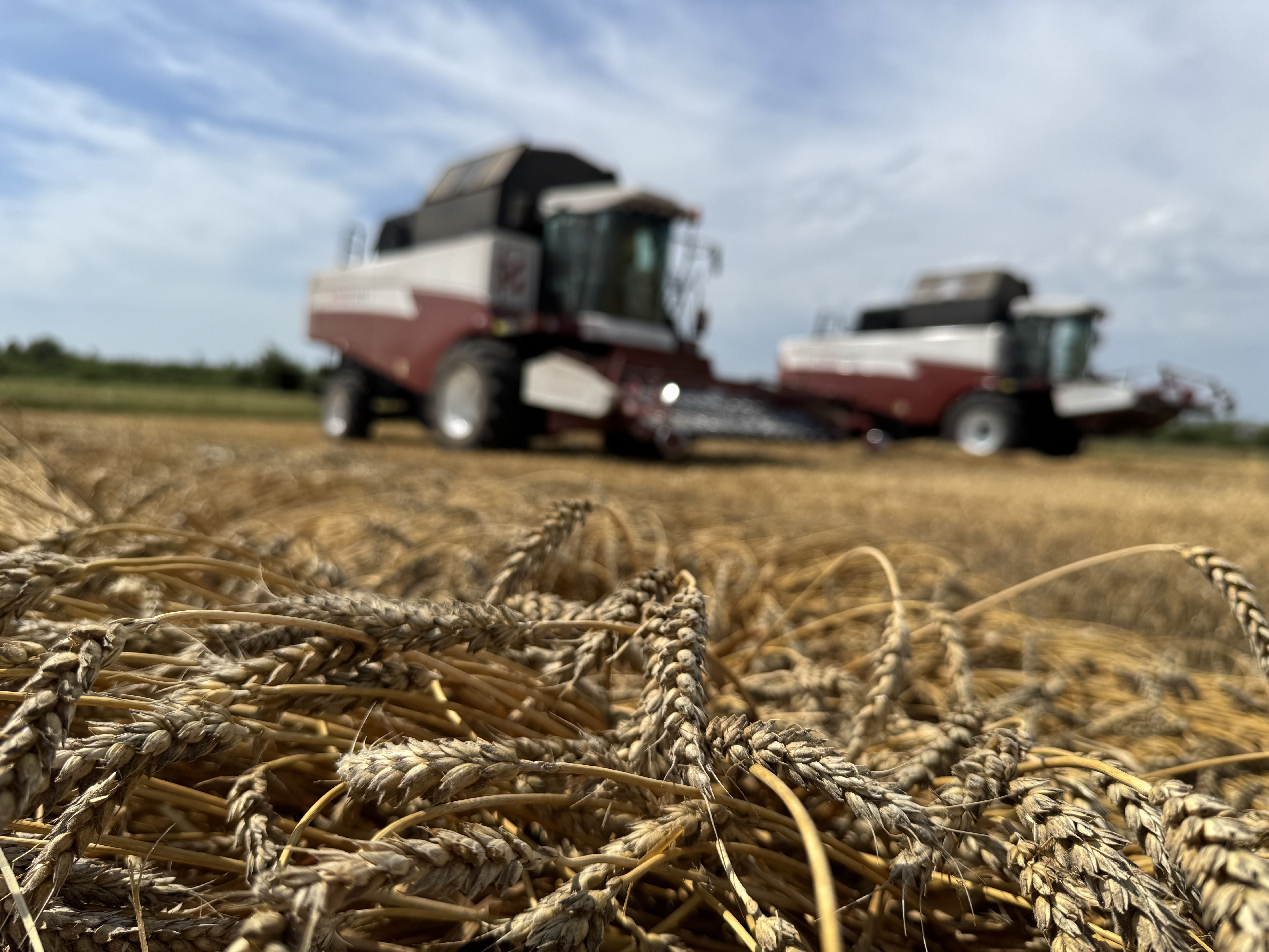 В Стерлитамакском районе Башкирии стартовала уборочная страда