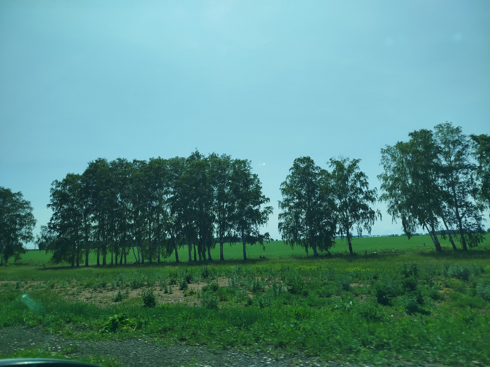 Элеккечә түгел без генә...