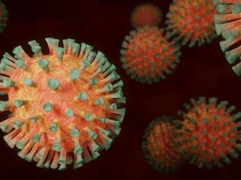 Новый штамм коронавируса