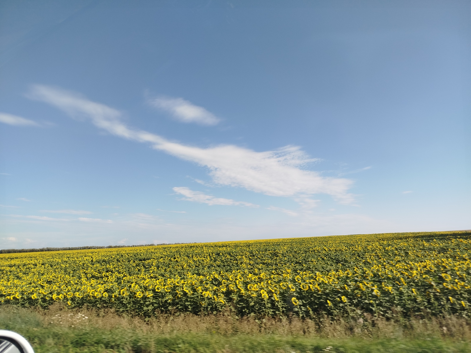 Бәхетеңне читкә очырма