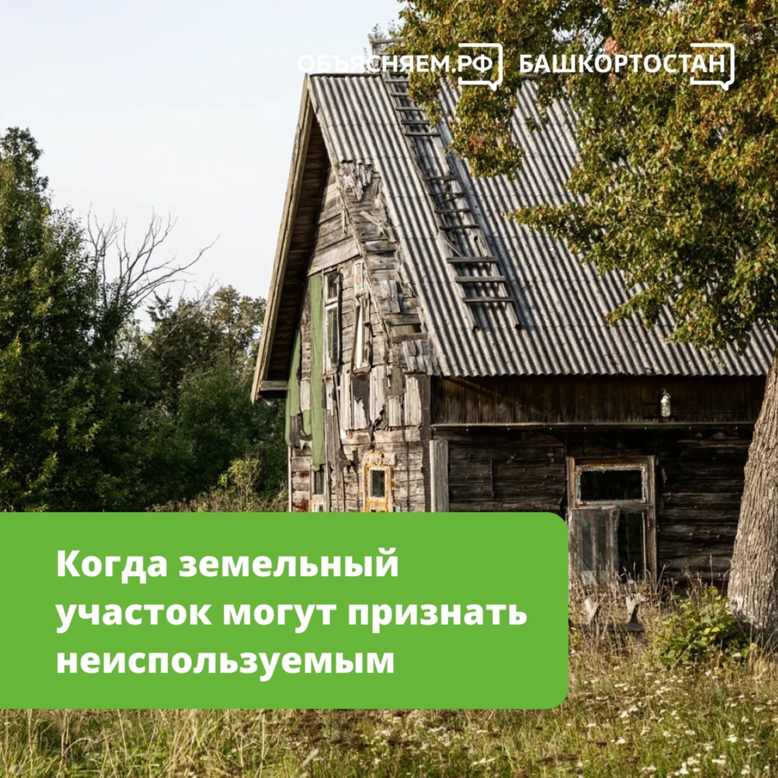 Когда земельный участок могут признать неиспользуемым