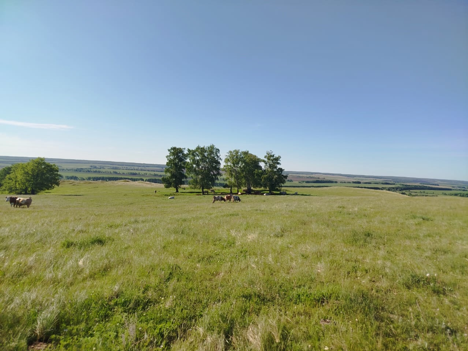 Тау артында кояш бар