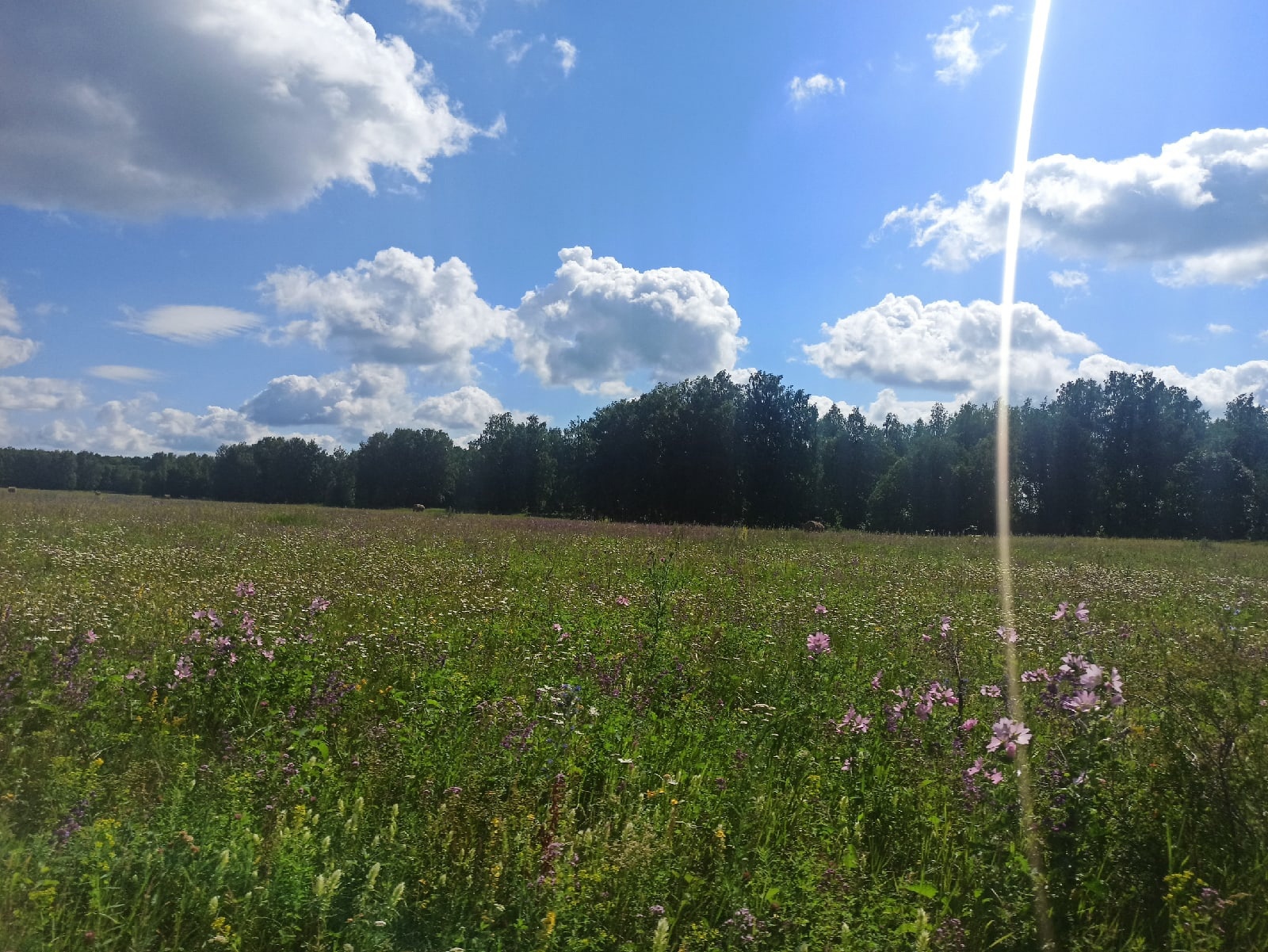 Кешелекне дәвалыйсым килә!