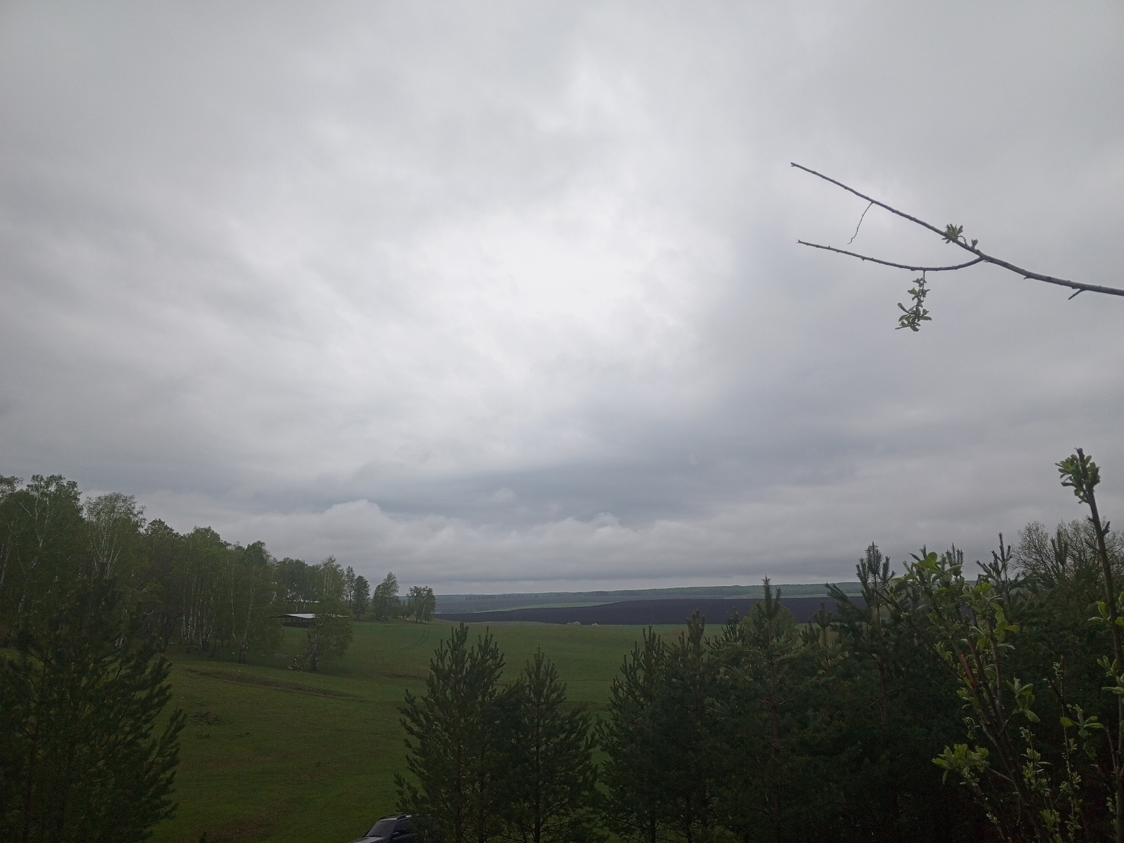 Яңгыр юган бәхет