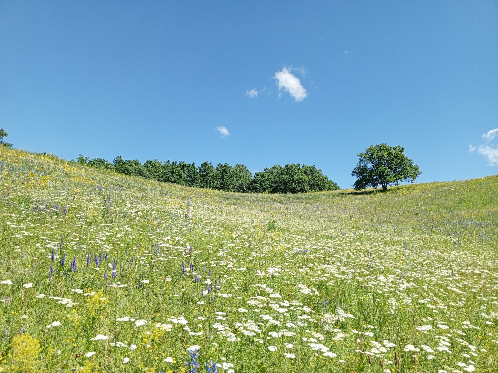 Серле сандык ачкычы