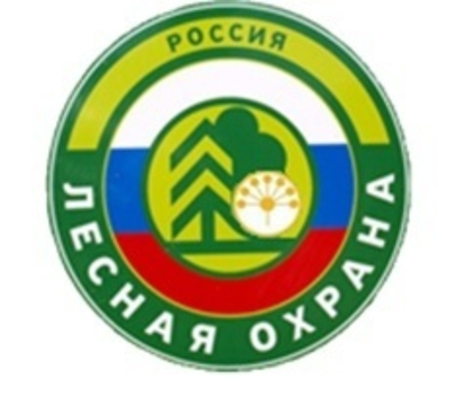 С 29 мая по 11 июня на территории Республики Башкортостан пройдет оперативно-профилактическая операция «Лес»
