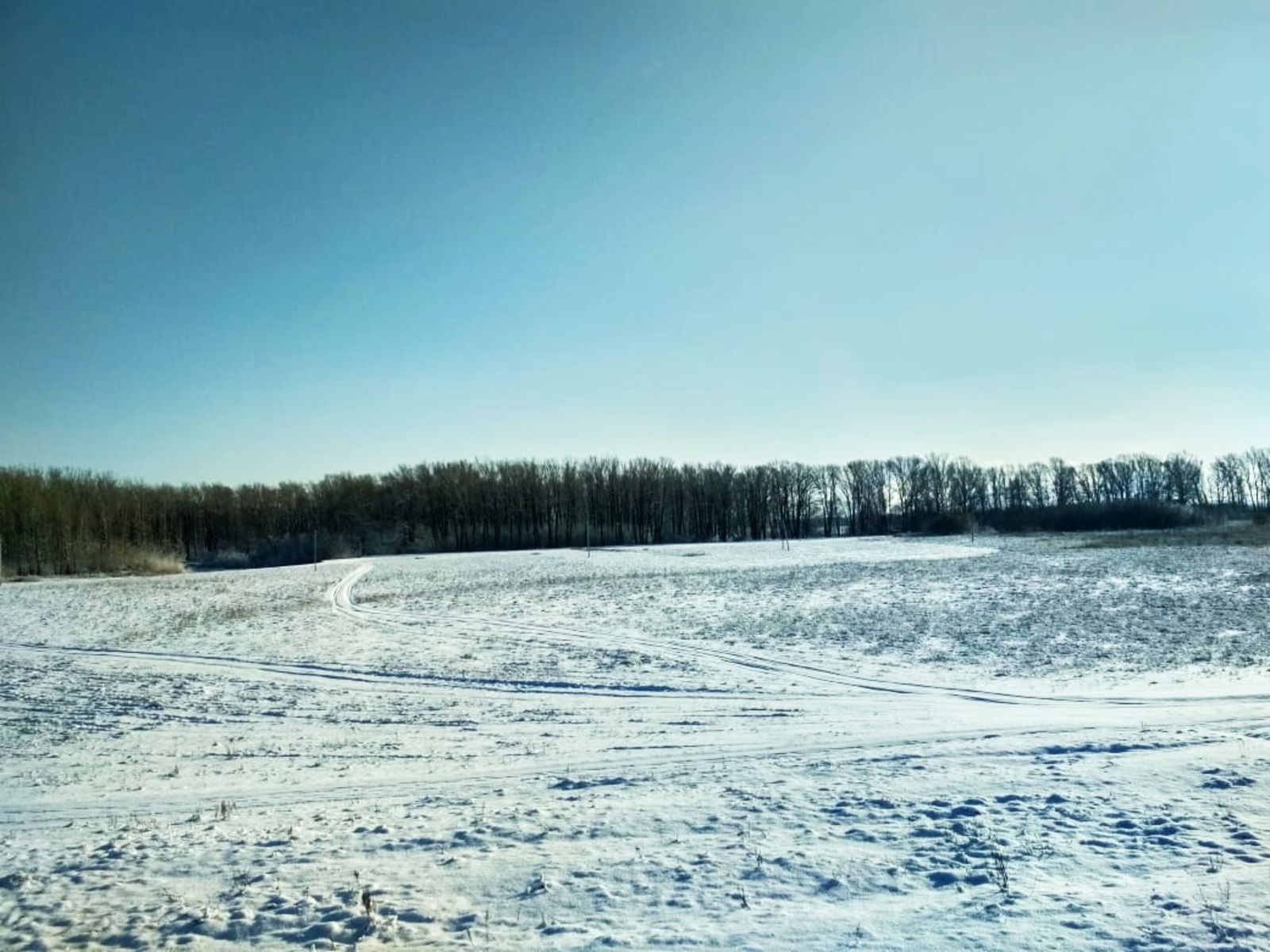 Бер тамчы ярату