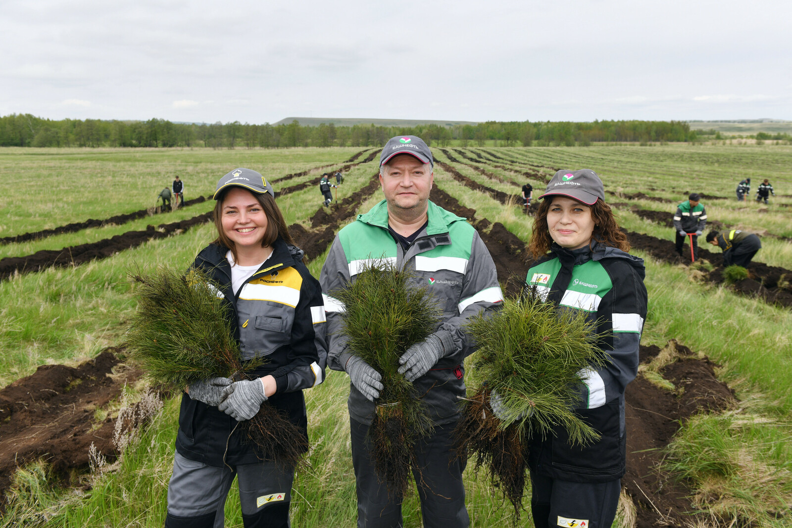 Нефтяники из Башкирии высадили 24 тысячи сосен