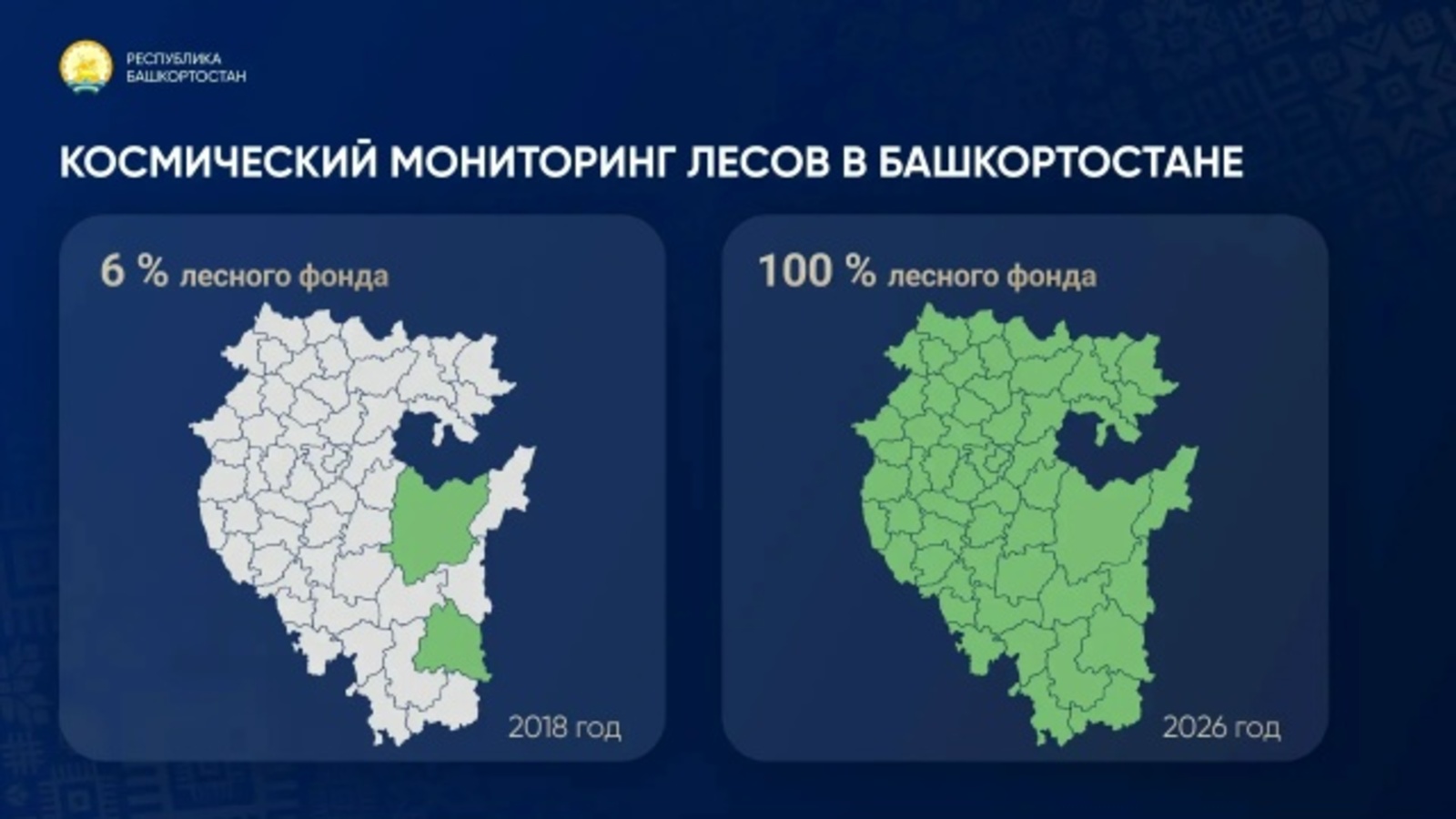 В Башкирии 100% леса находится под космическим мониторингом