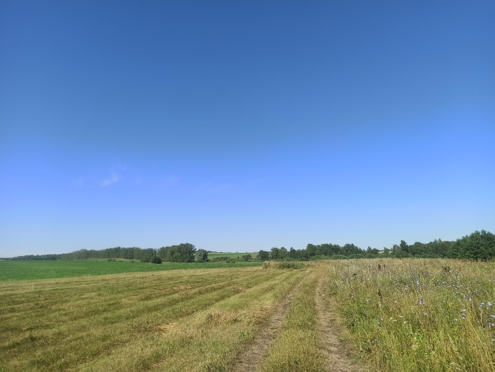 Көтүче сумкасы (хикәя)