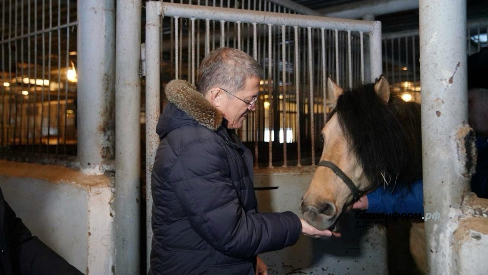Радий Хабиров сообщил о том, что в Башкирии будет создан Центр лошади