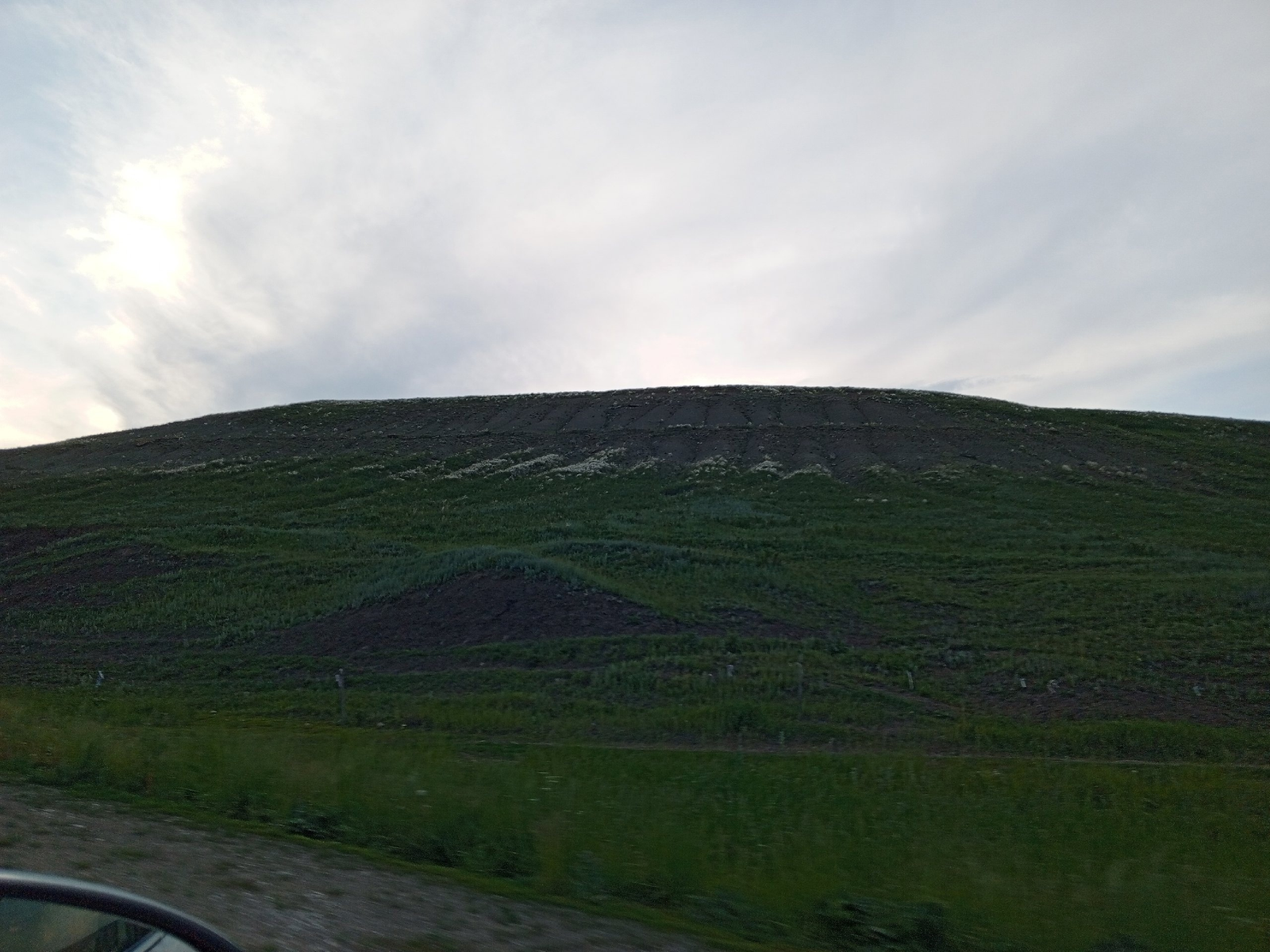 Елан мәхәббәте