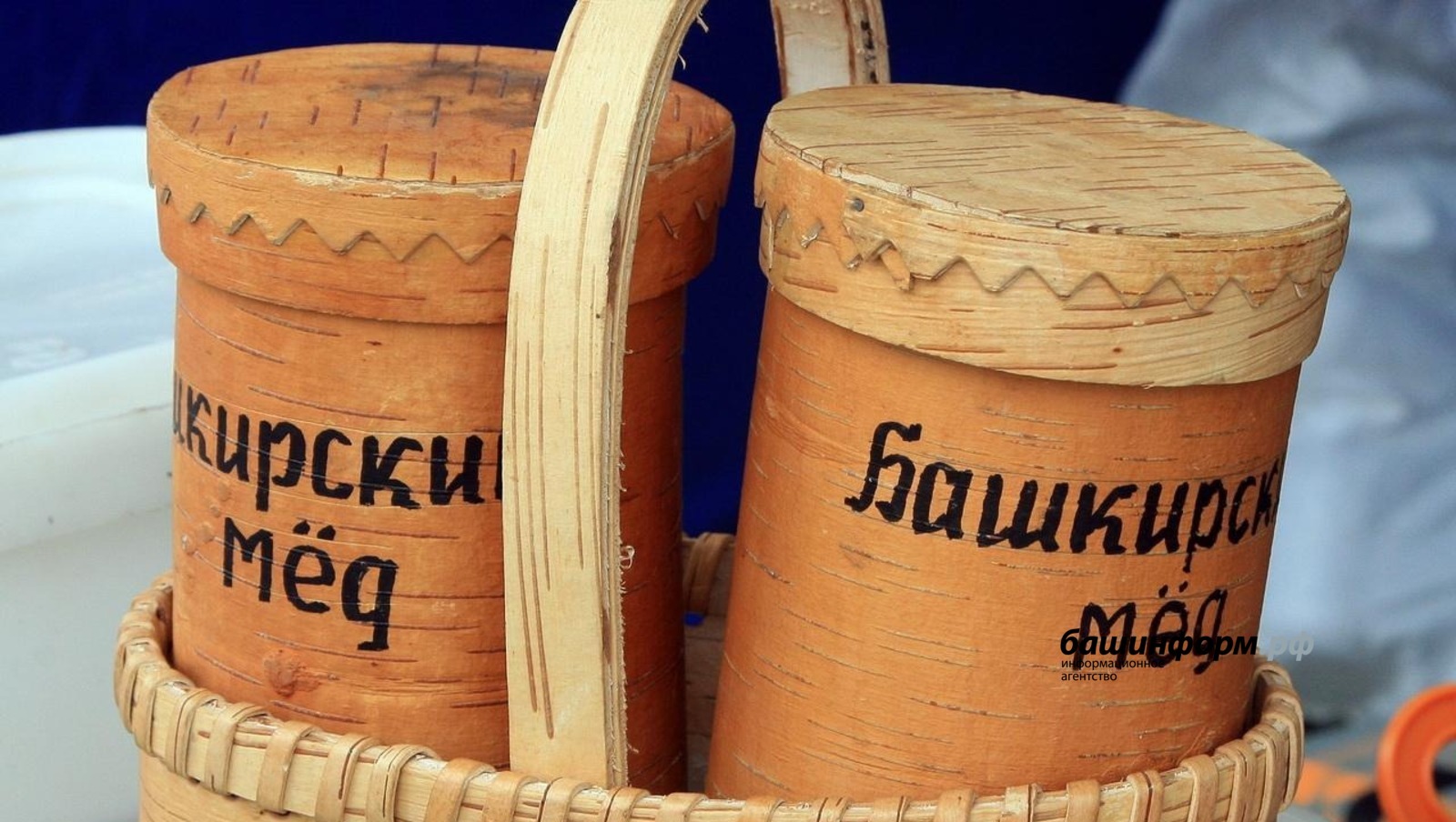 Глава Башкирии рассказал о поддержке «медовой» отрасли