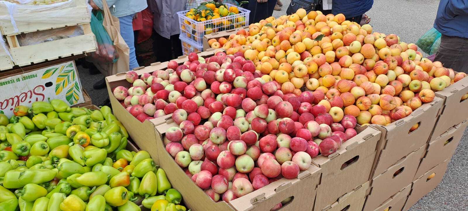 Первая сельскохозяйственная