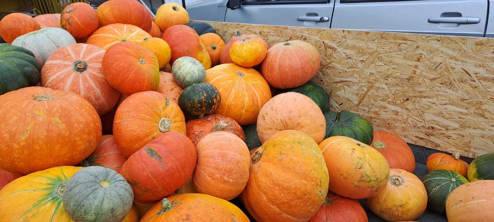 Первая сельскохозяйственная