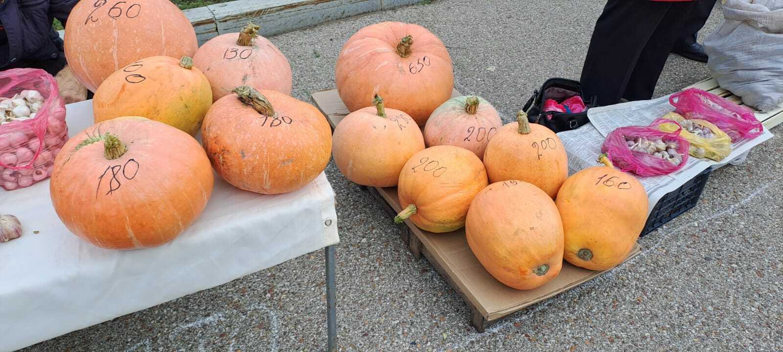 Первая сельскохозяйственная