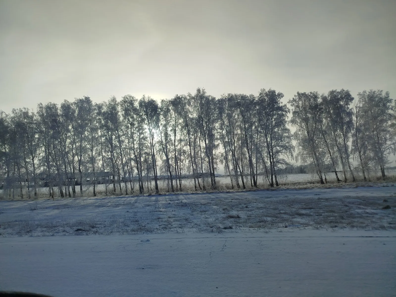 Без югалткан көннәр