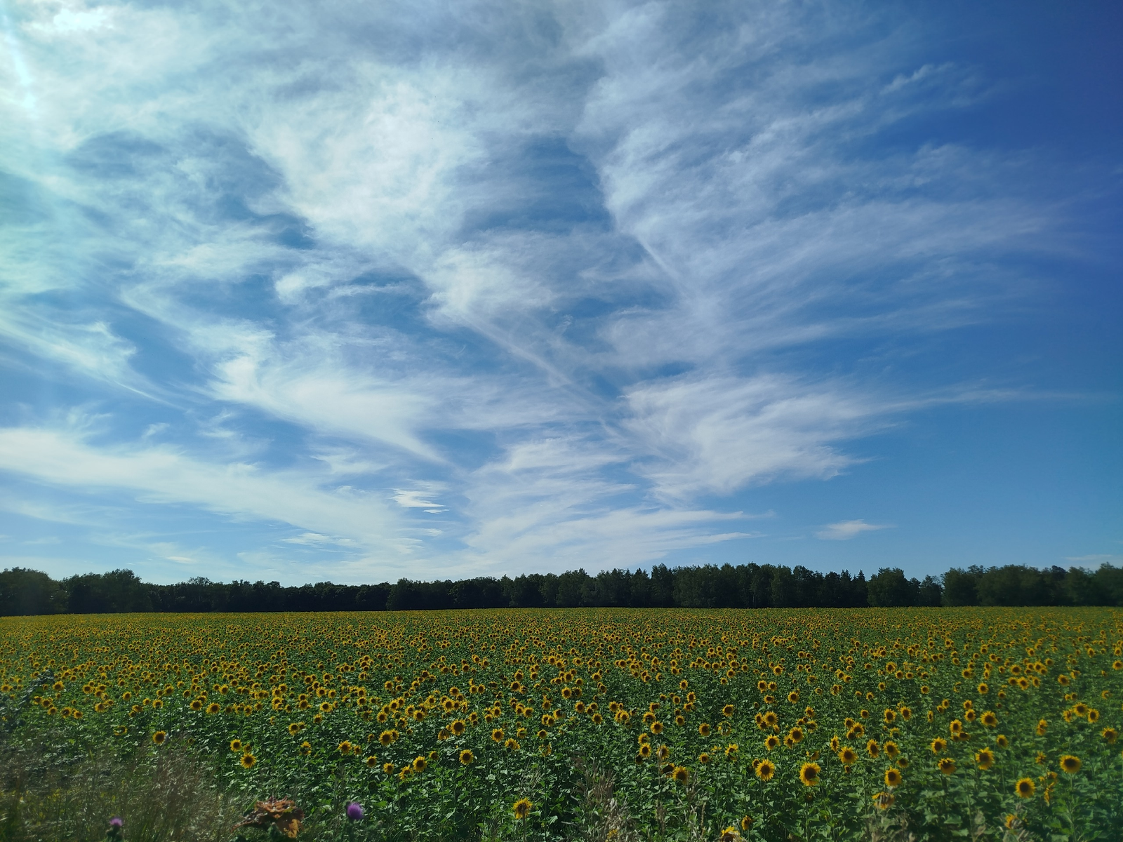 Тау артында кояш бар