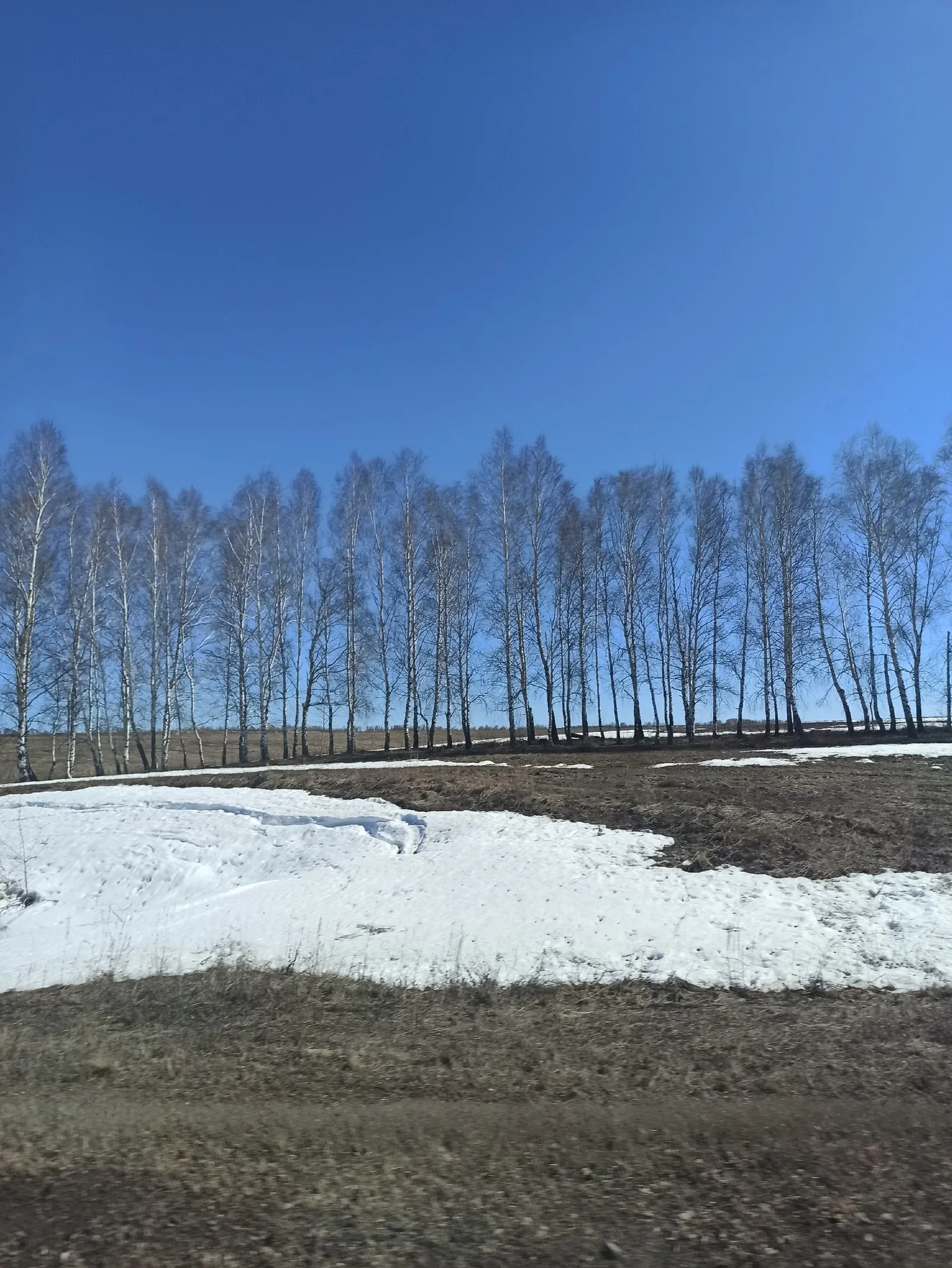 Чираттагы сынау