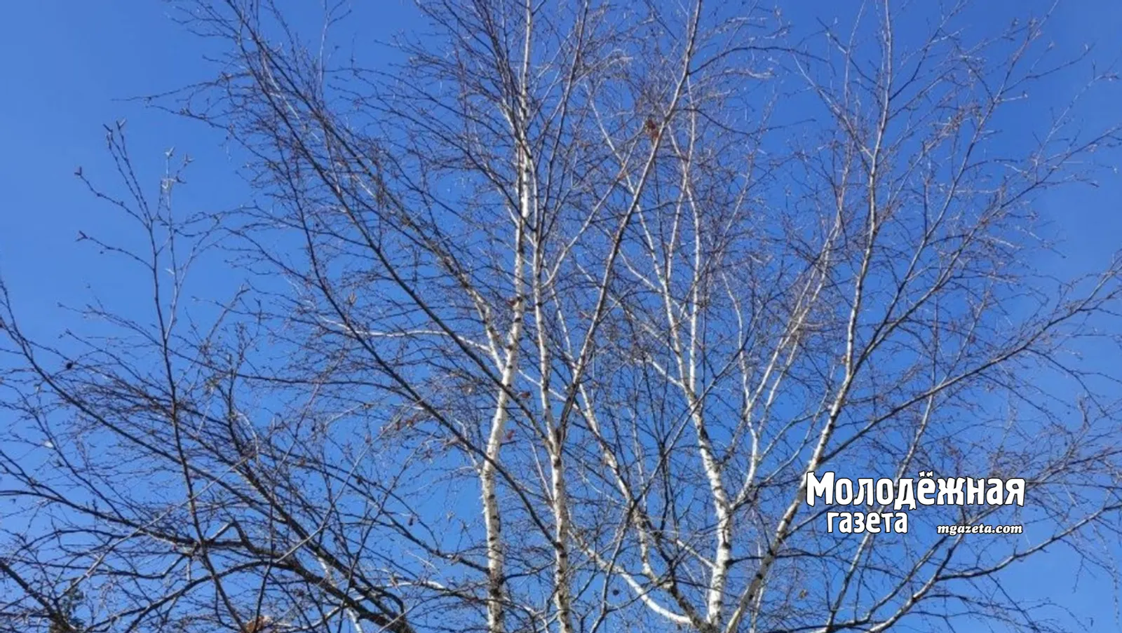 «Стать героем — это выбор»: в Башкирский кадетский корпус открыт набор