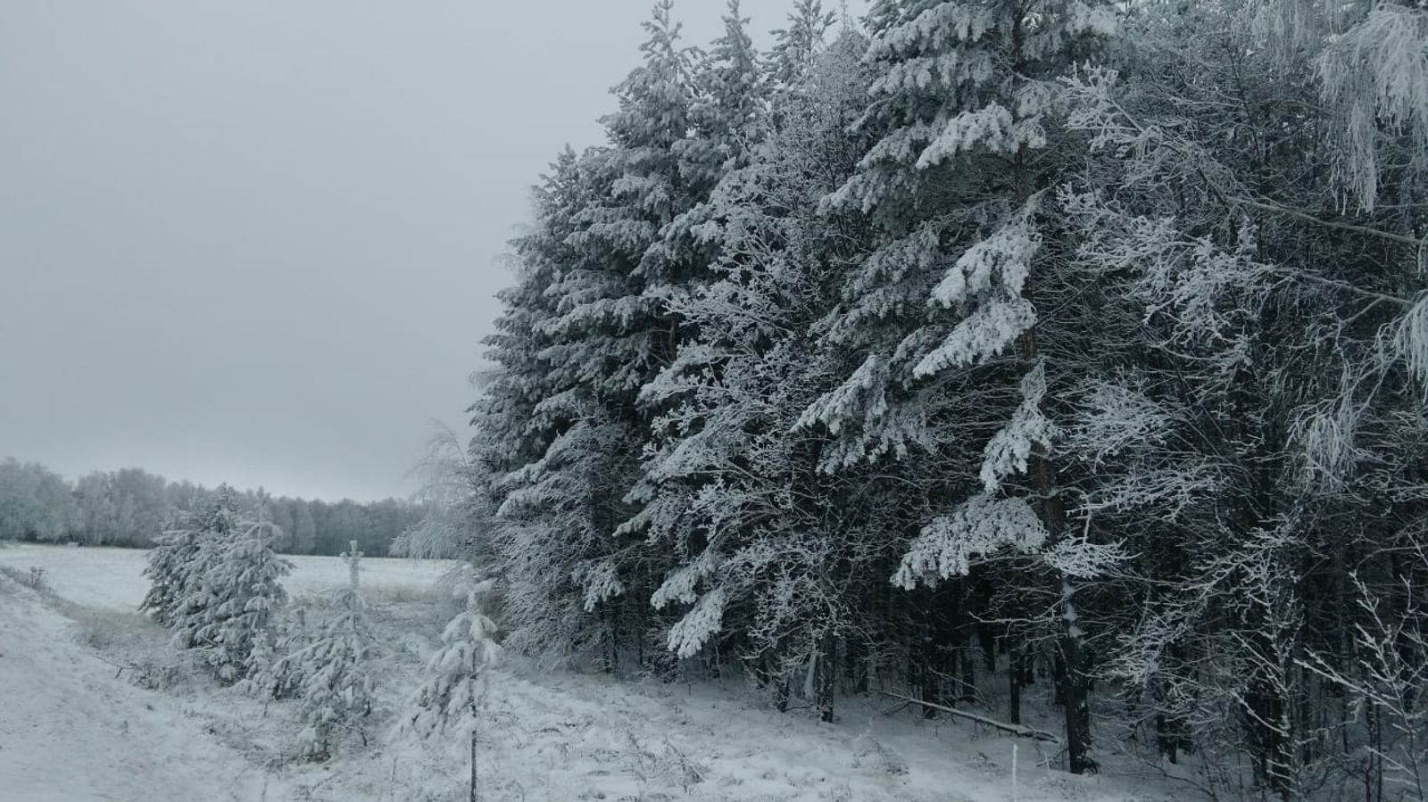 Элеккечә түгел без генә...