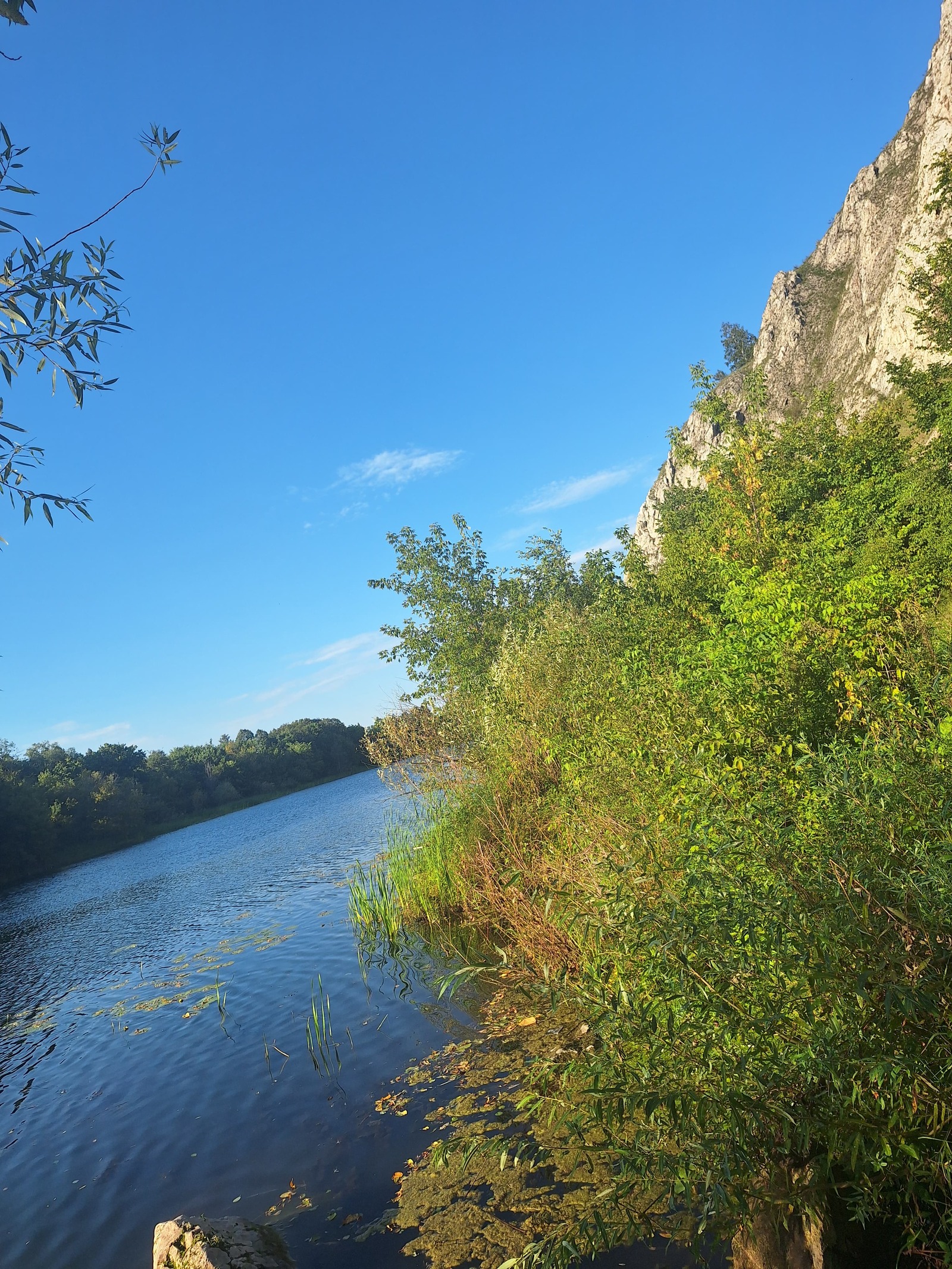 Бер тамчы ярату