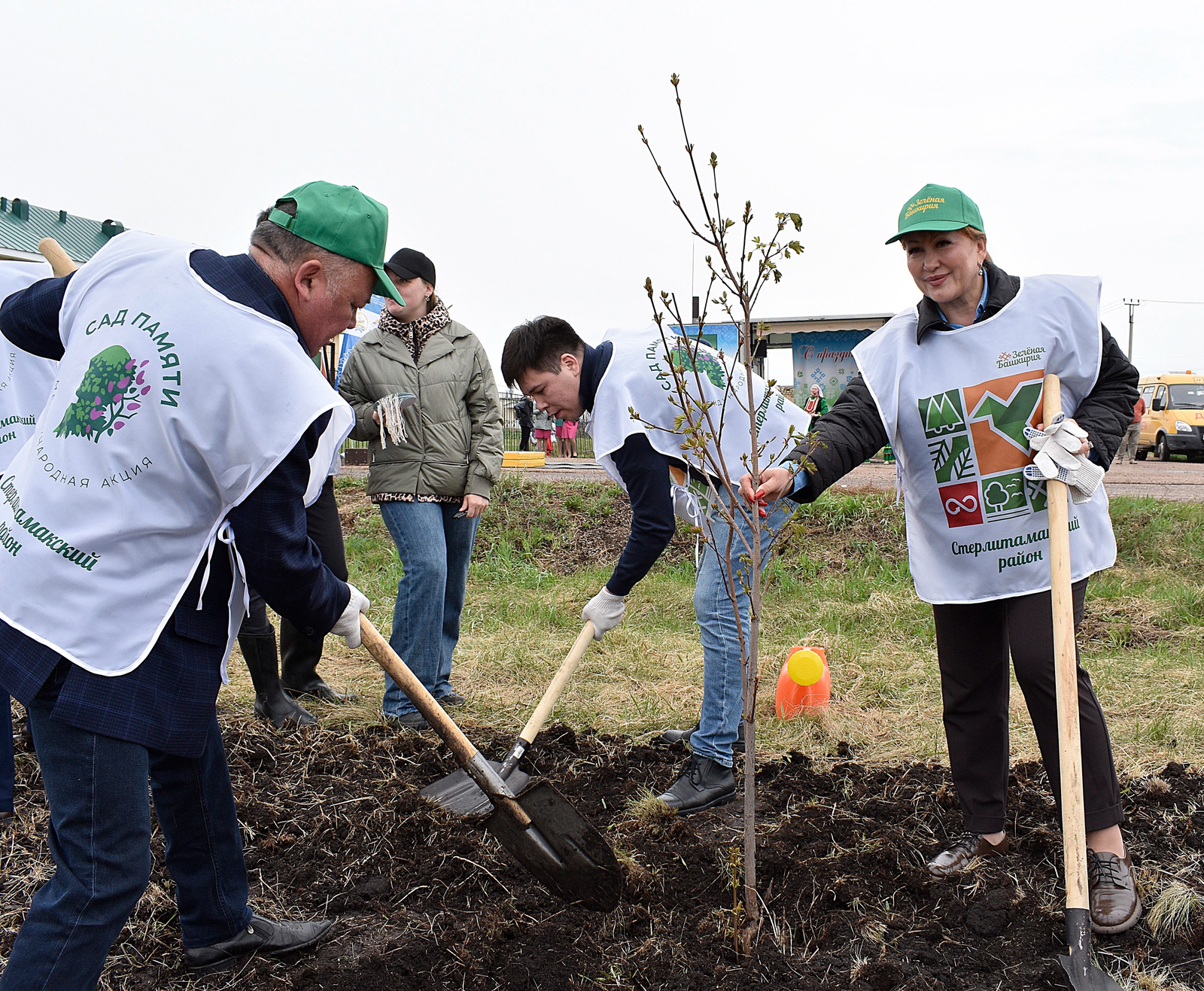Башкирия вошла в топ-10 по высадке деревьев в рамках акции «Сад Памяти»