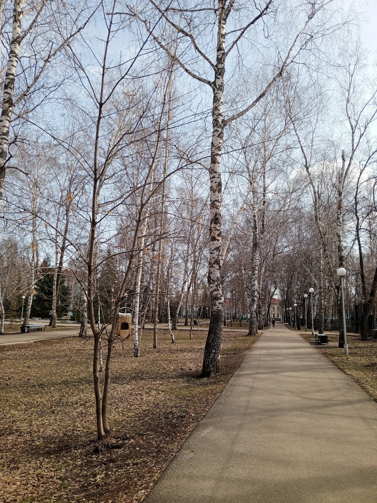 Тапланган гомер