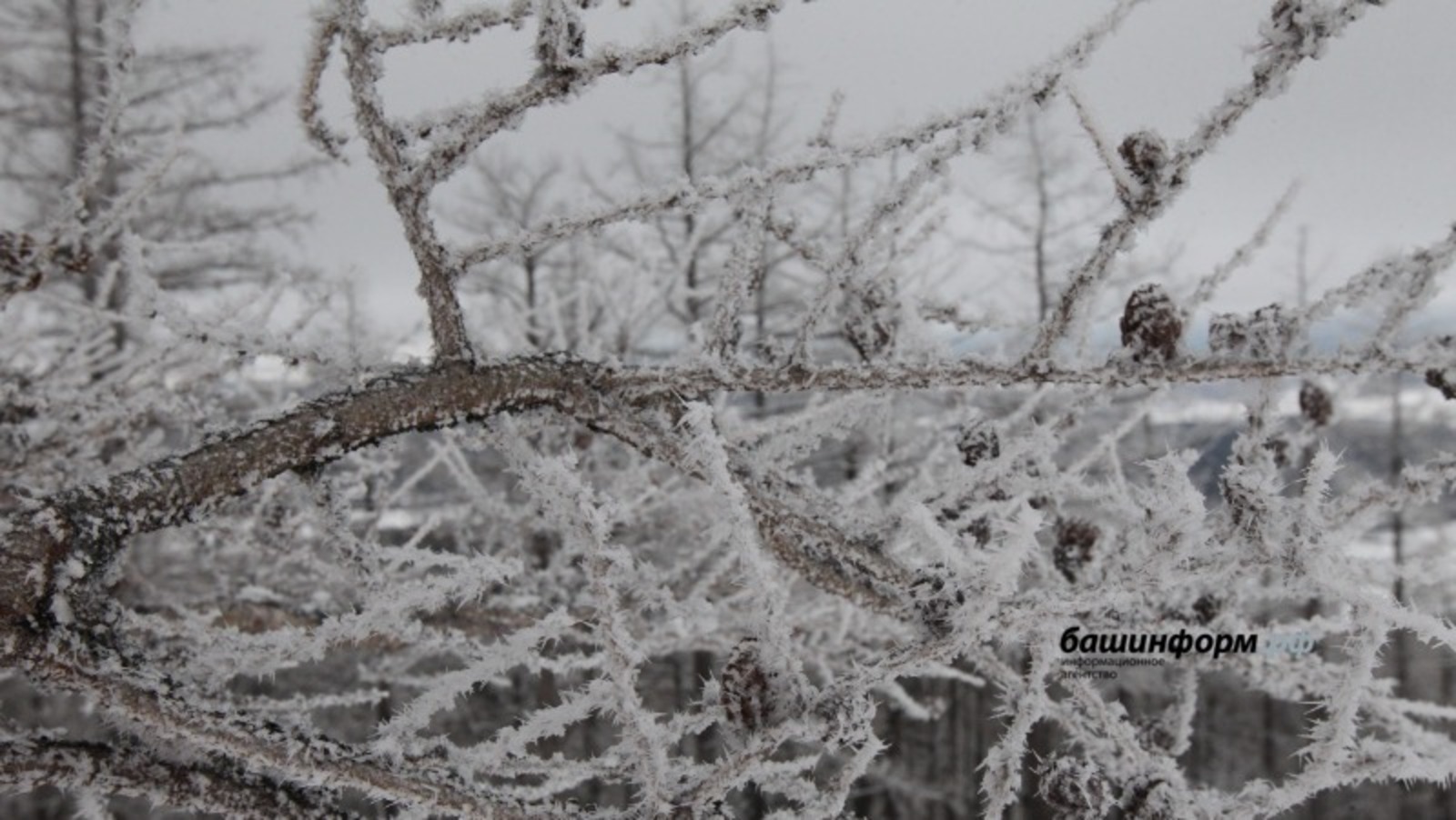 В Башкирии похолодает до 28 градусов мороза