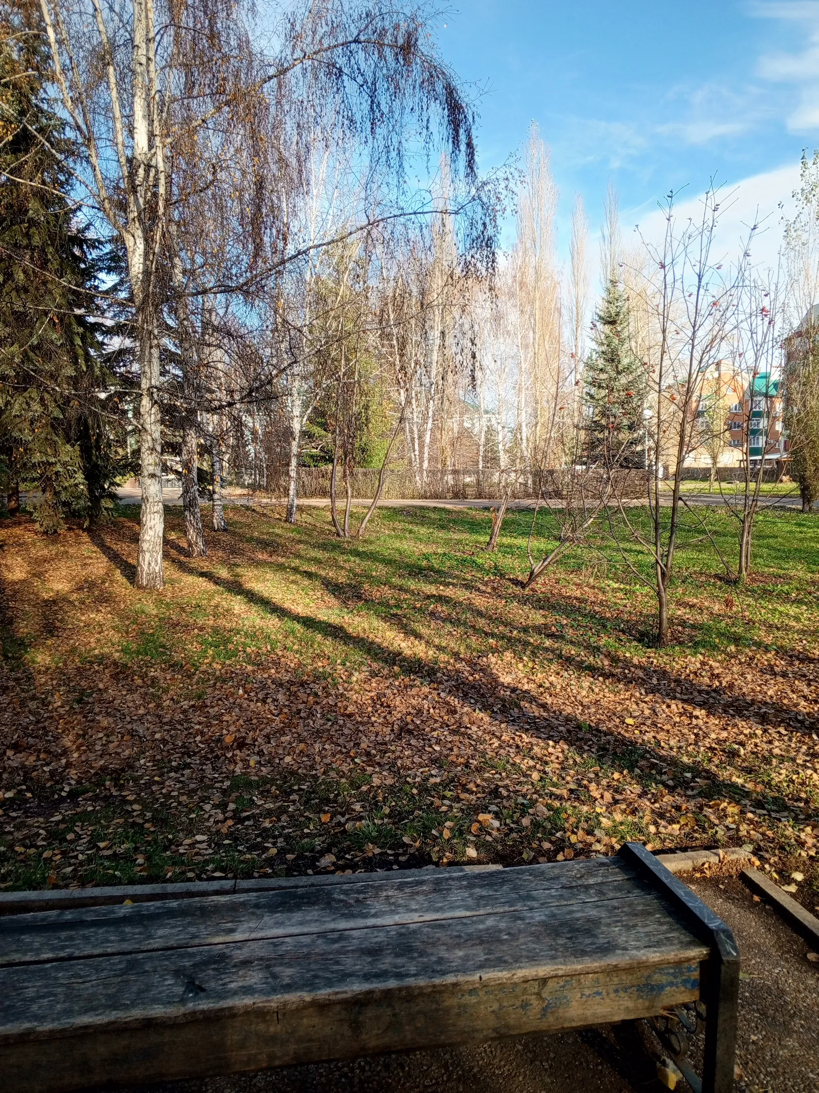 Хәерниса түти ыштаны (юмористик хикәя)