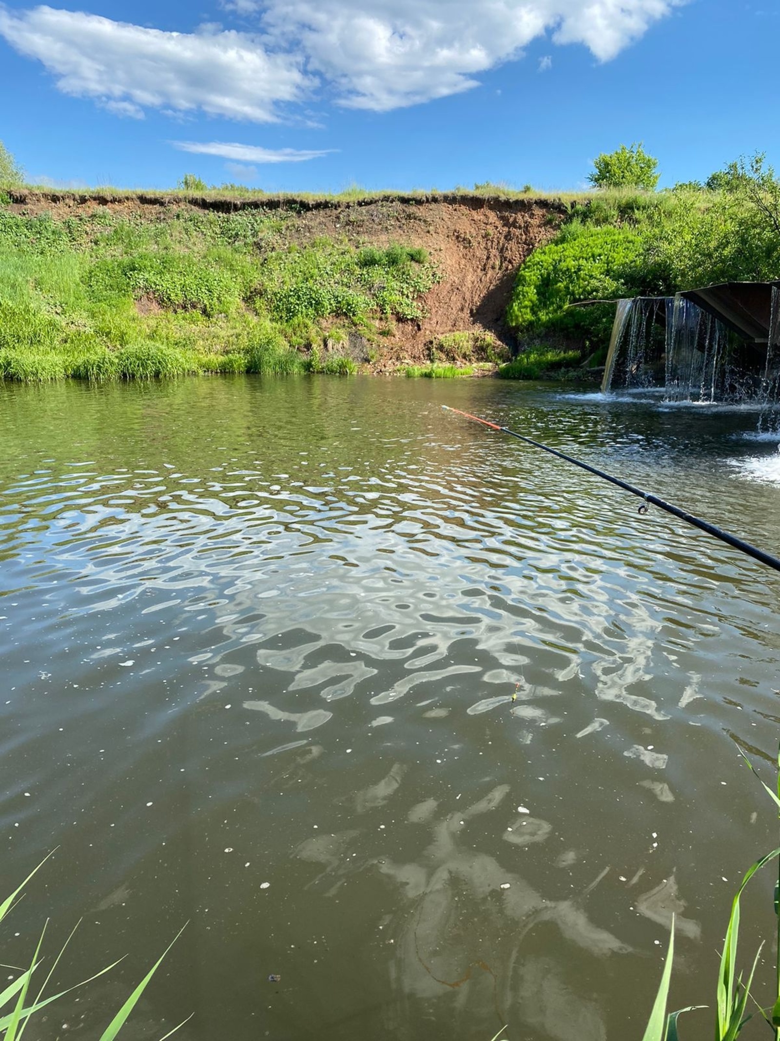 Бер тамчы ярату