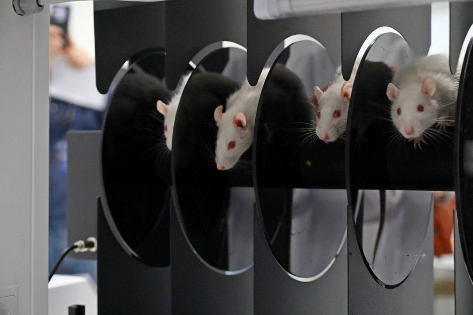 В Межвузовском кампусе перешли на новый этап исследований