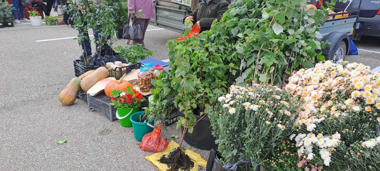 Первая сельскохозяйственная