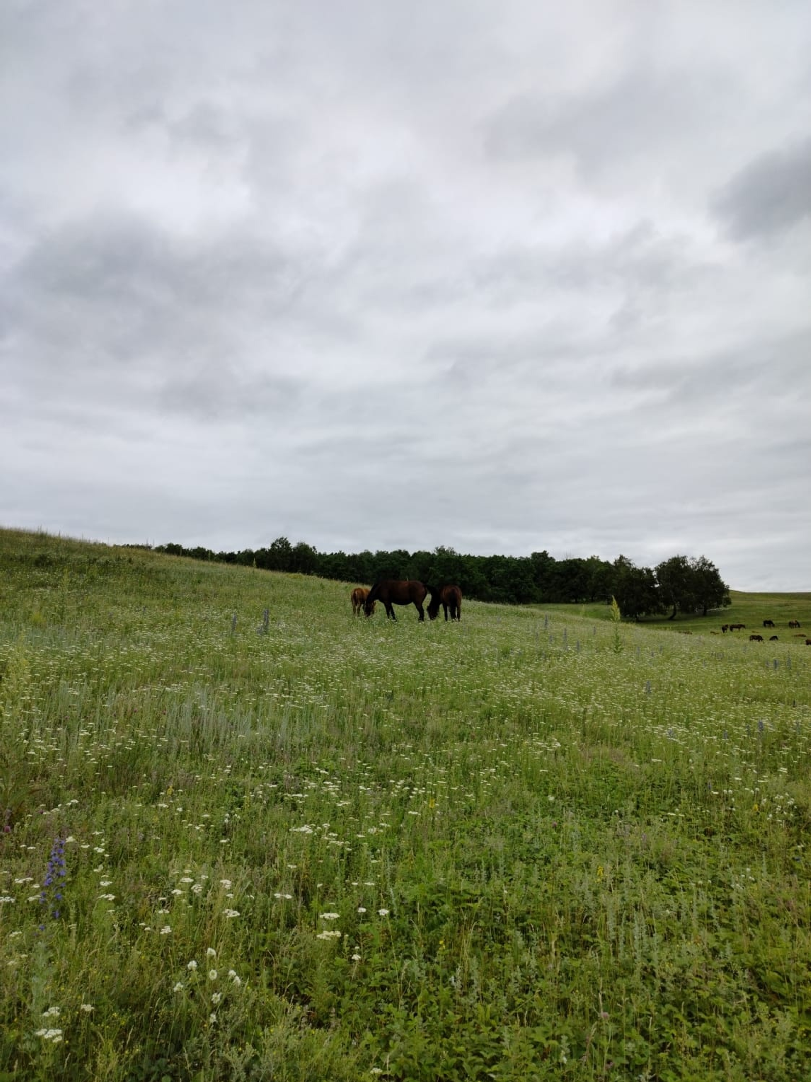Серле сандык ачкычы
