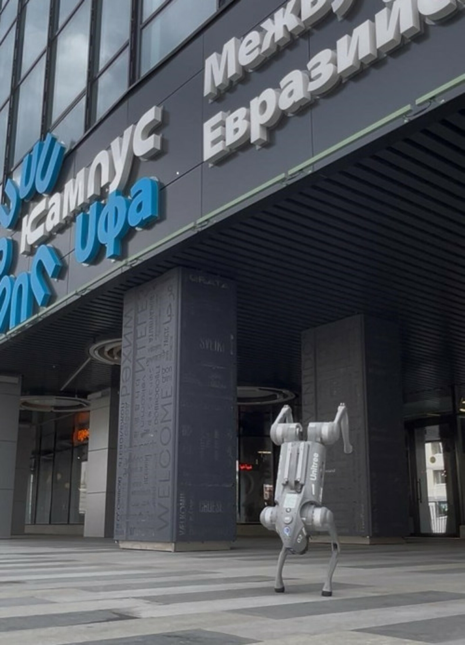 Робопес из Межвузовского кампуса станет участником Уфимского марафона