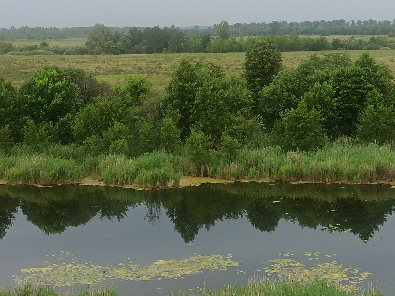 Серле сандык ачкычы