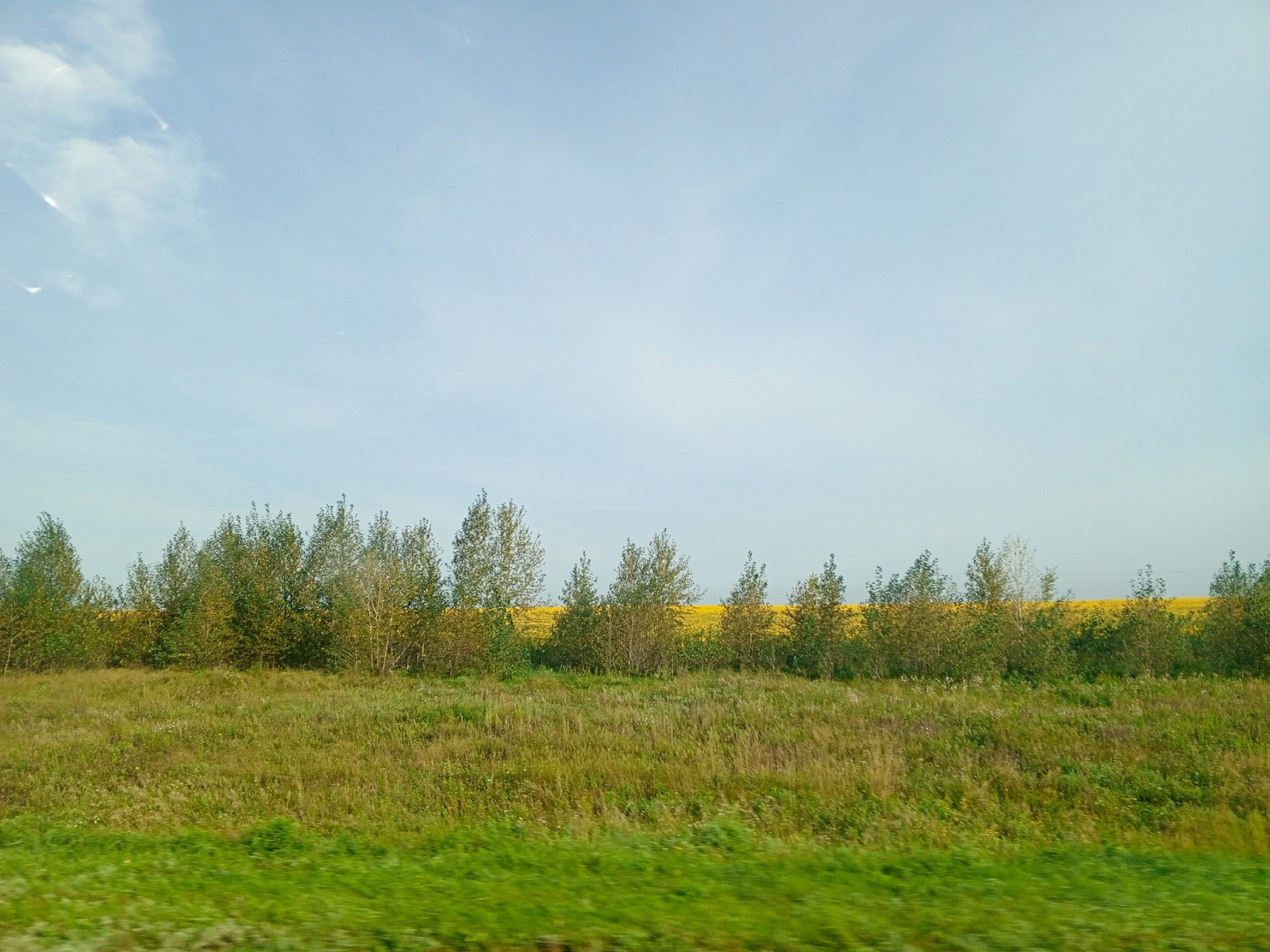 Елан мәхәббәте