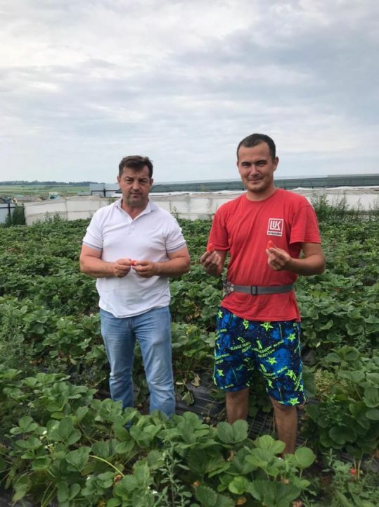 Фермер из Бижбулякского района республики выиграл конкурс на грант «Агростартап»