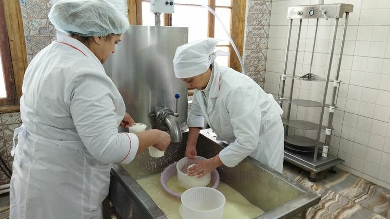 В Давлекановском районе республики наладили производство эко-сыров под брендом «Баба Яга»