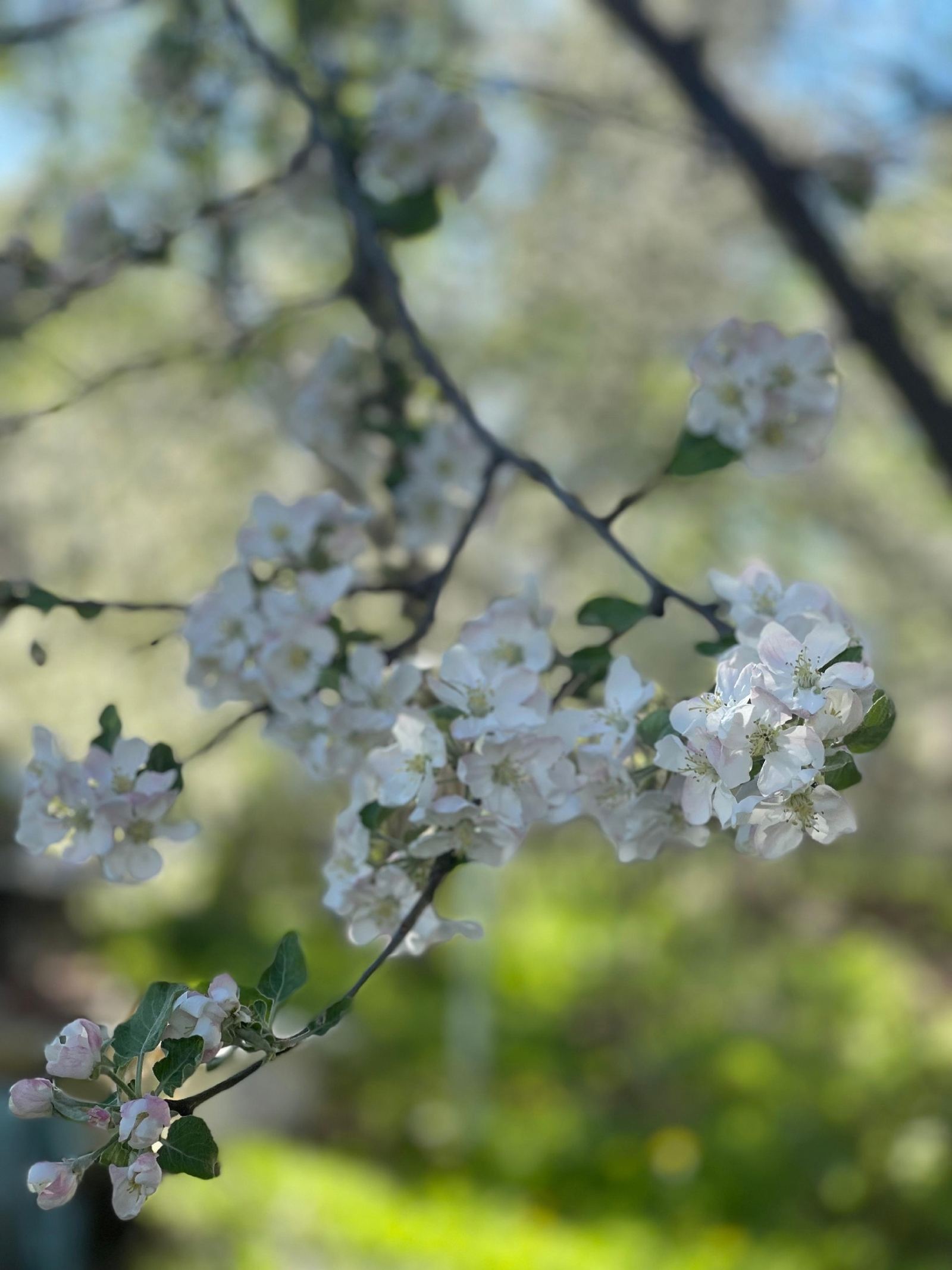 Үткәннәр белән көрәш