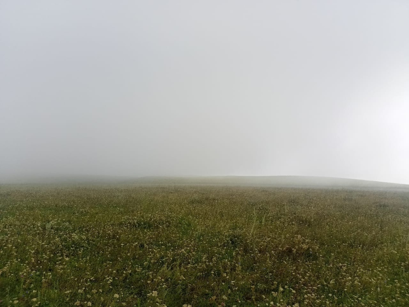 Элеккечә түгел без генә...