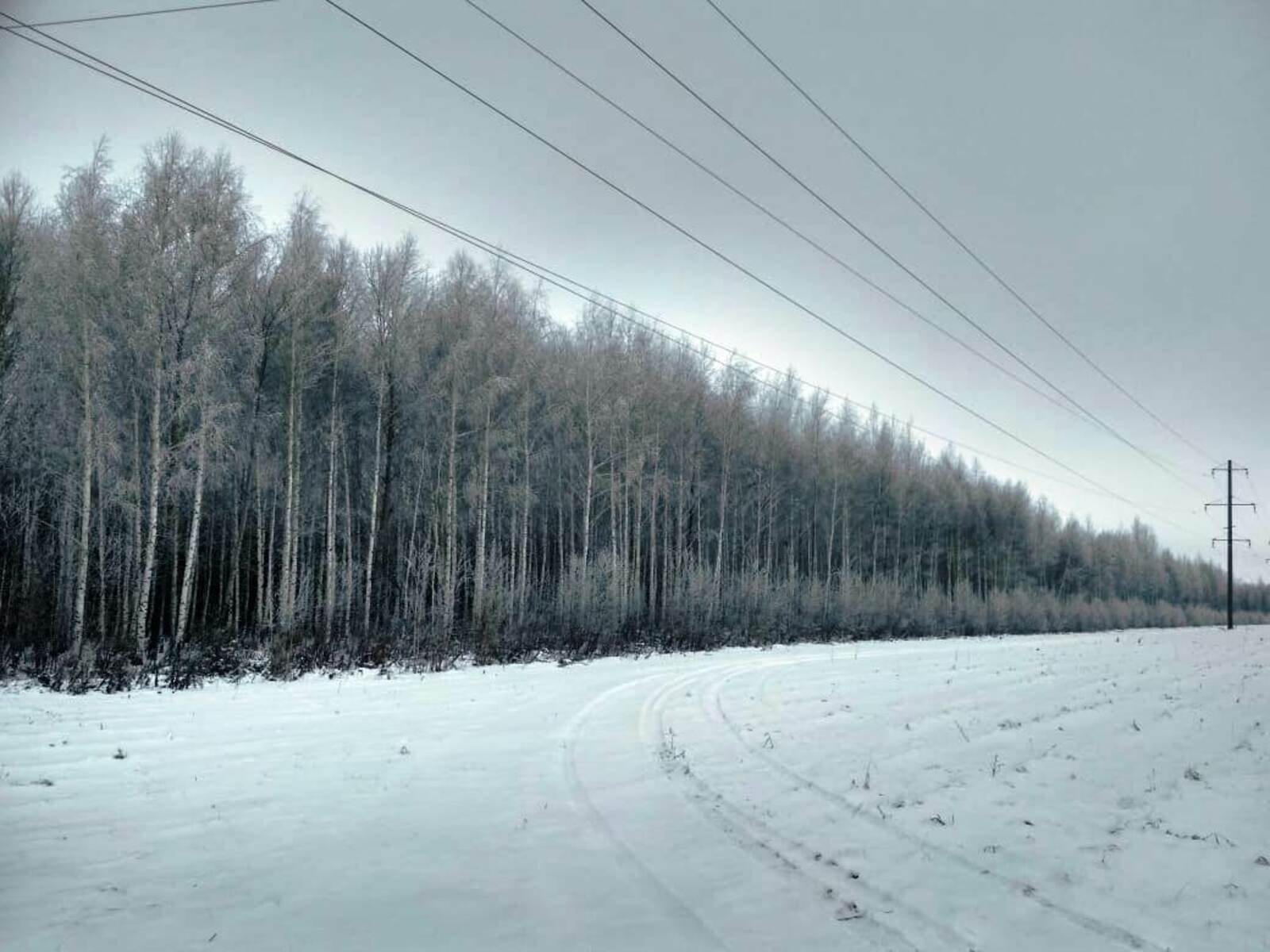 Соңлап килгән өч бәхет