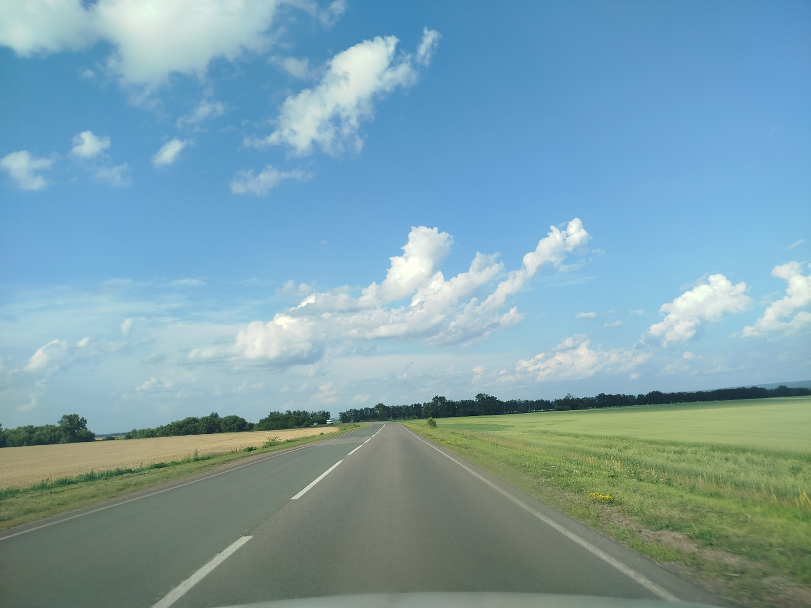 Парлы ялгызлар