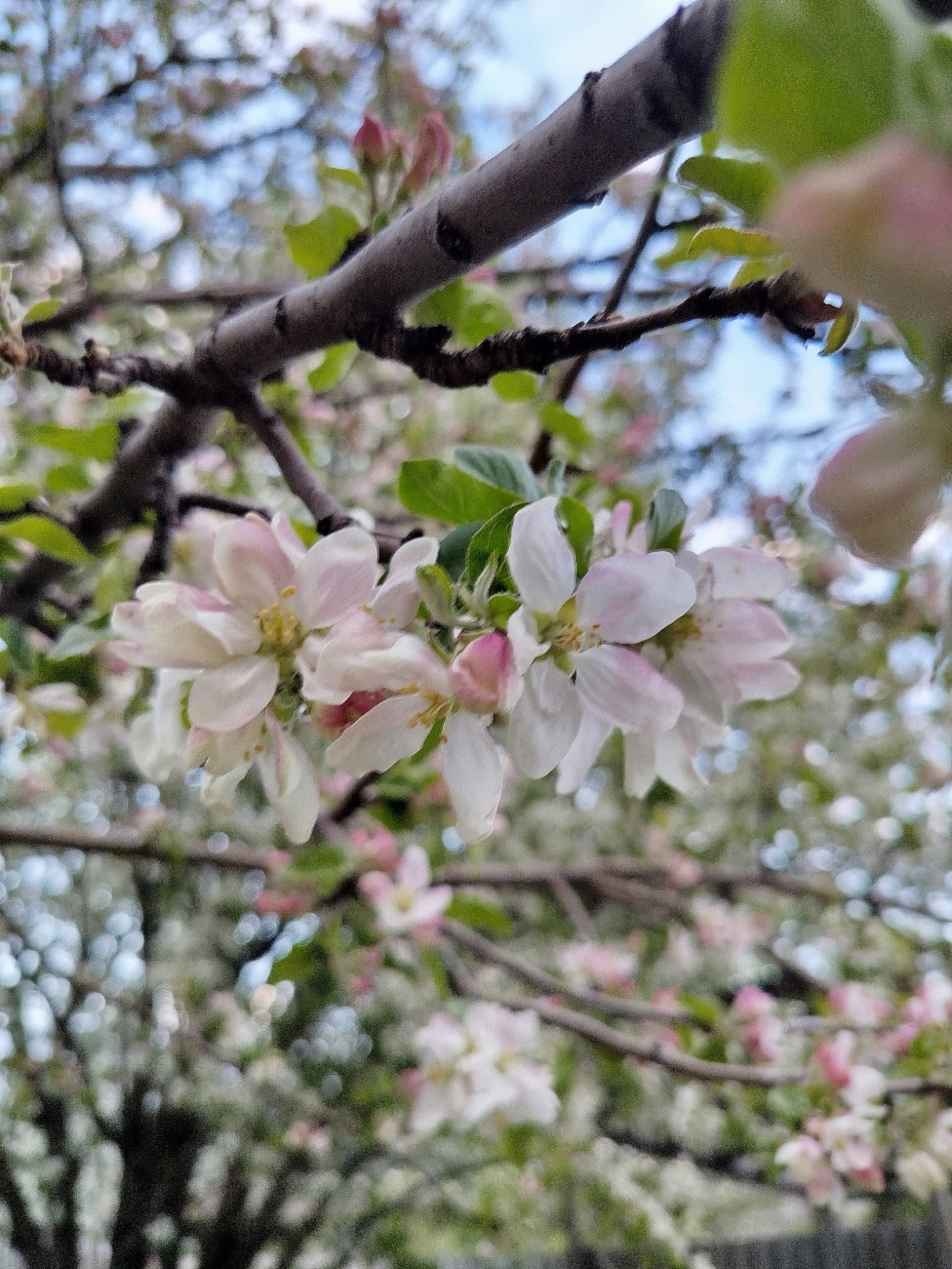 Күктә язылганмы?