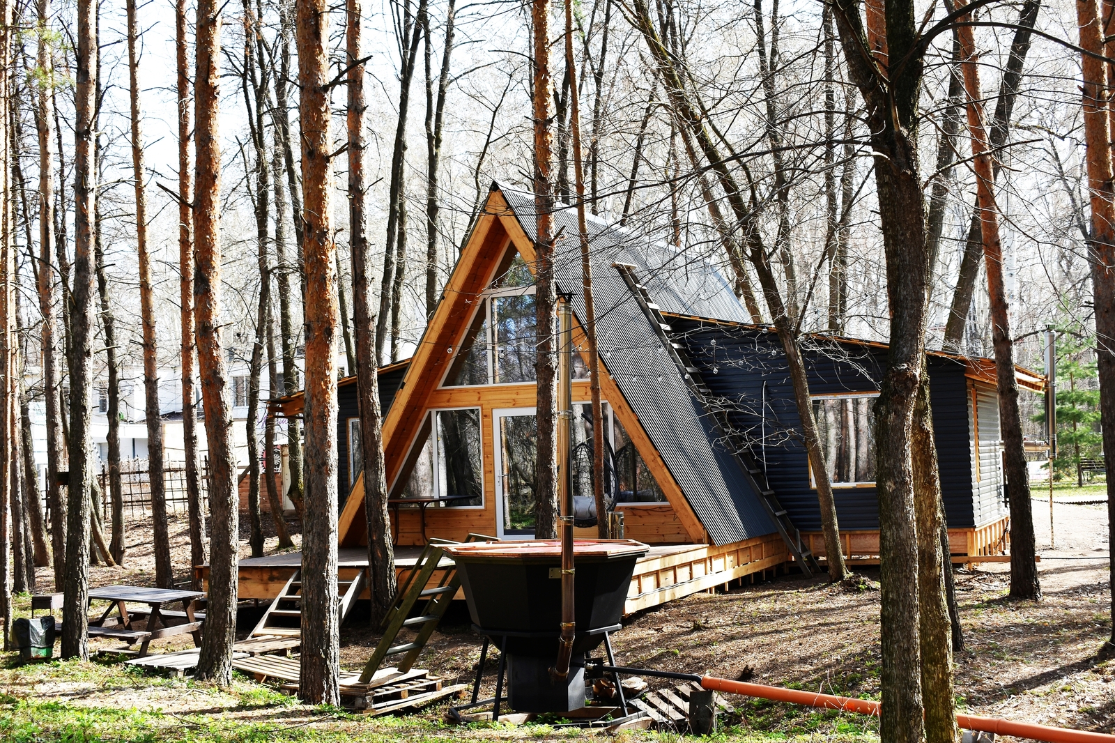 Новые горизонты для реализации идей