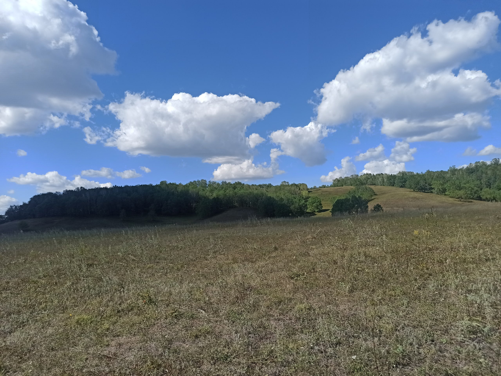 Төзәлмәслек яра