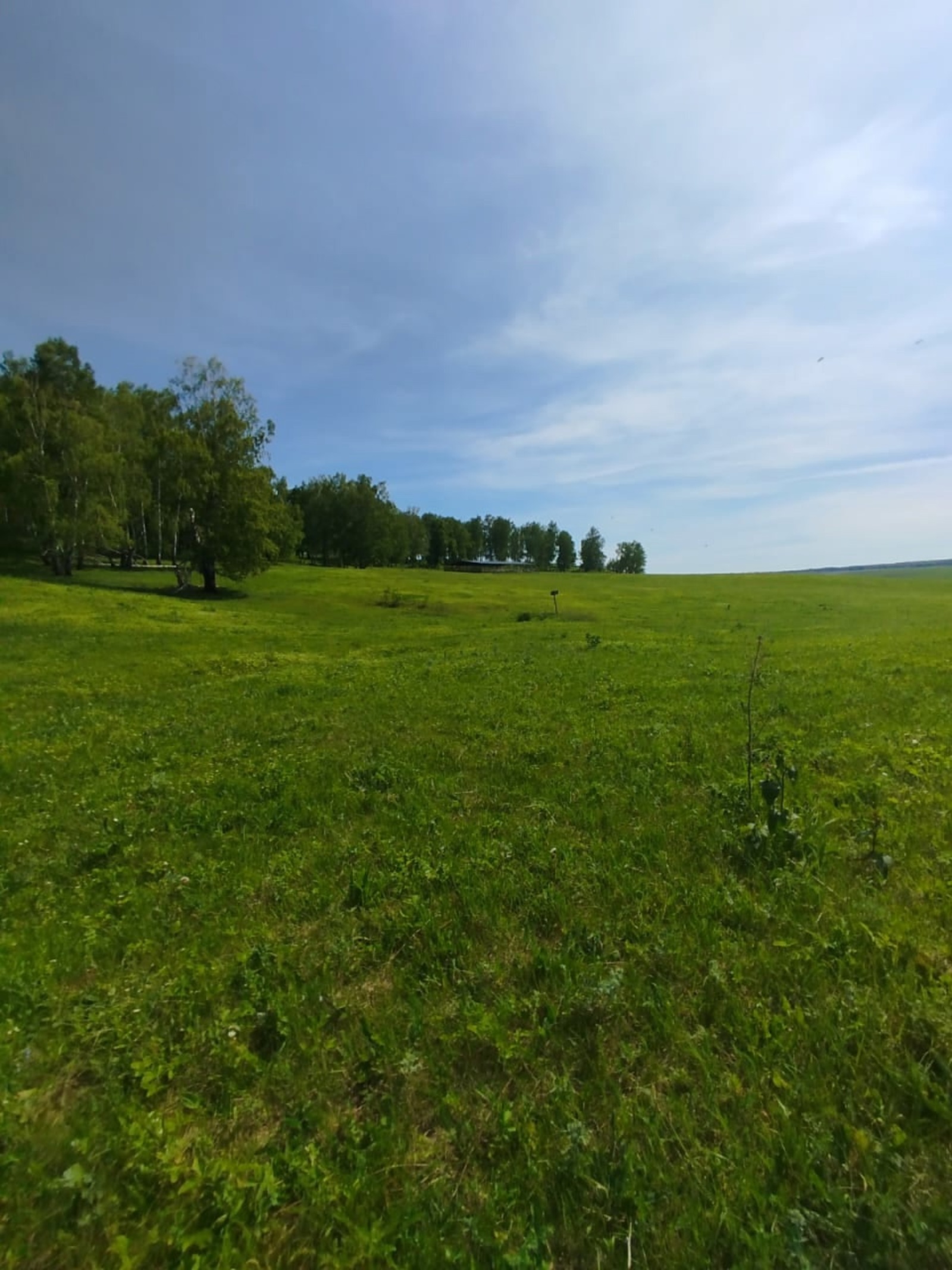 Элеккечә түгел без генә...